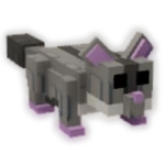 Sugar Glider