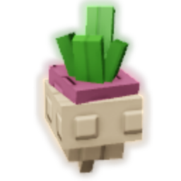 Turnip